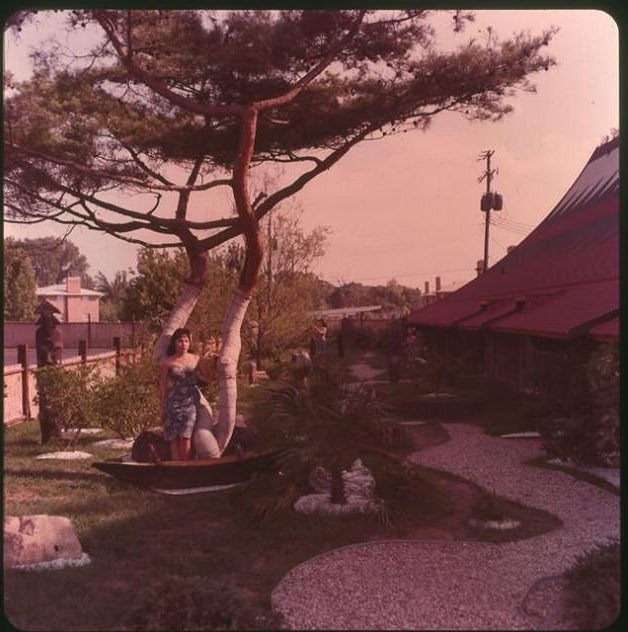 Outside Garden