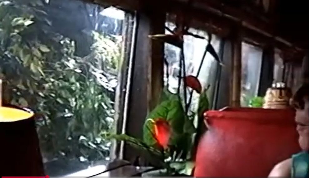 Looking out from a booth