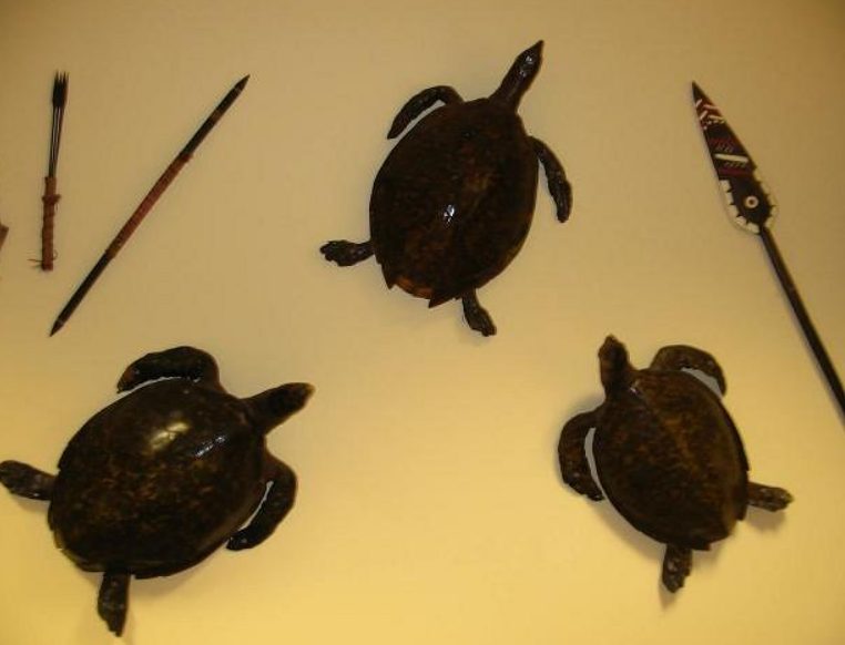 Turtle shells and spears